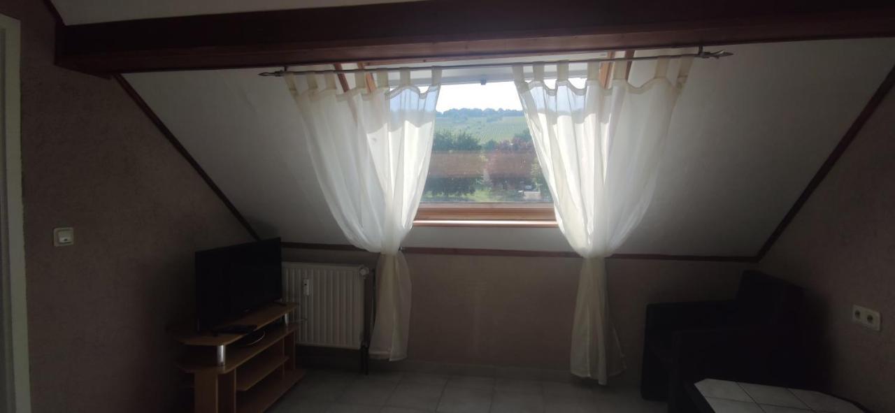 An Der Alten Romerstrasse Apartment Neumagen-Dhron Bilik gambar